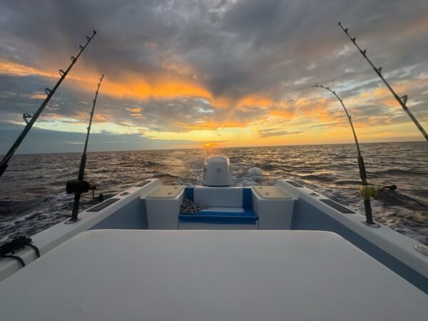 Sunset Cruise