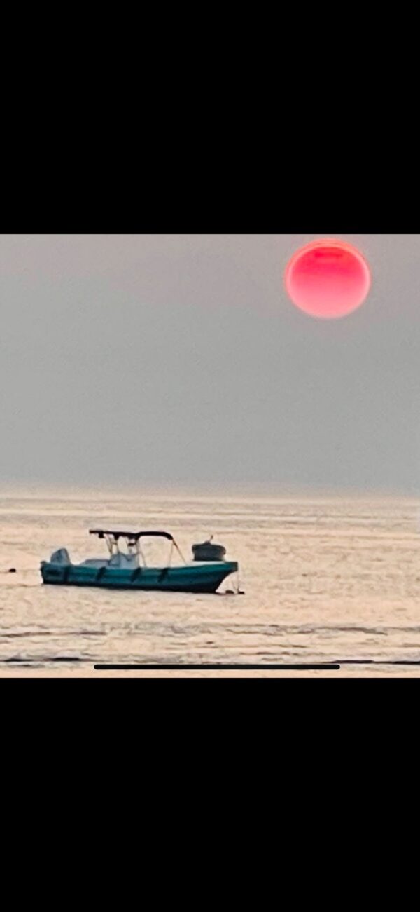 Sunset Cruise - Image 13