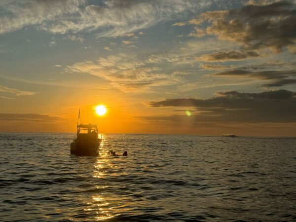 Sunset Cruise - Image 8
