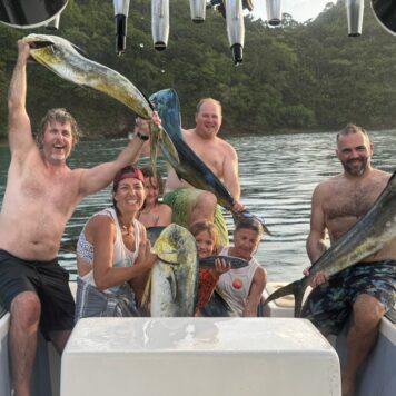 0304f96d-87cf-4cff-8c25-7e1aa2e1937f