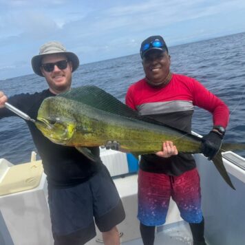 1d6c0f73-a415-46c3-a346-5650f542c12a