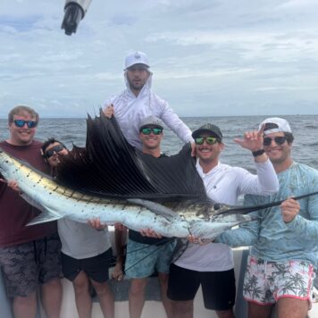 3fc48a92-a2a9-4380-afbf-afa4b07bd995