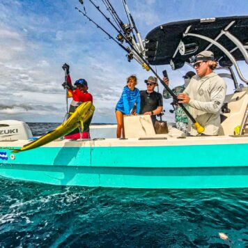 47324c38-ed5e-47d0-8ea2-16394b6ce6de