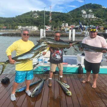 593a7b46-e64d-42d0-96b4-4ce778c6cd3b