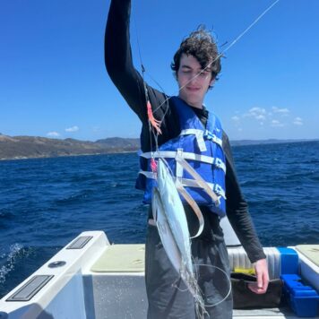 9550b5fe-3222-4734-90c5-563dd48cb71f