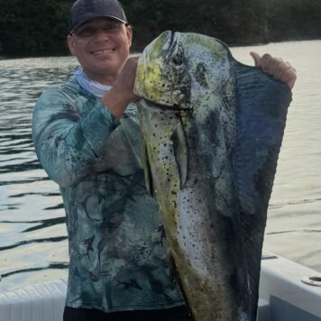 a49c7449-4797-479c-88b4-118d57f343cd