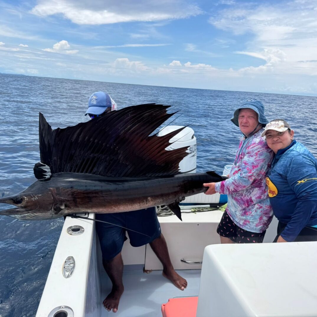 a4e3e51f-ca25-4d9d-a748-e1d92770cc16