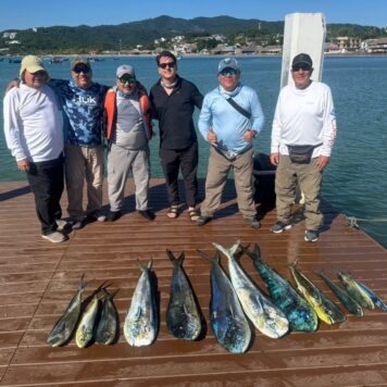 af79858b-fea2-4637-9d08-19af58c5045a